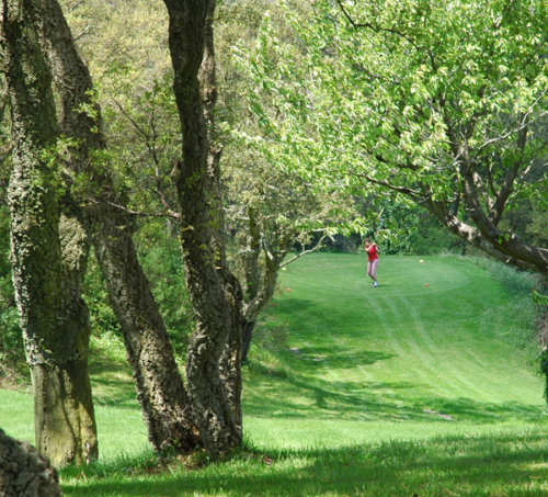 pitch-and-putt pitch-and-putt
